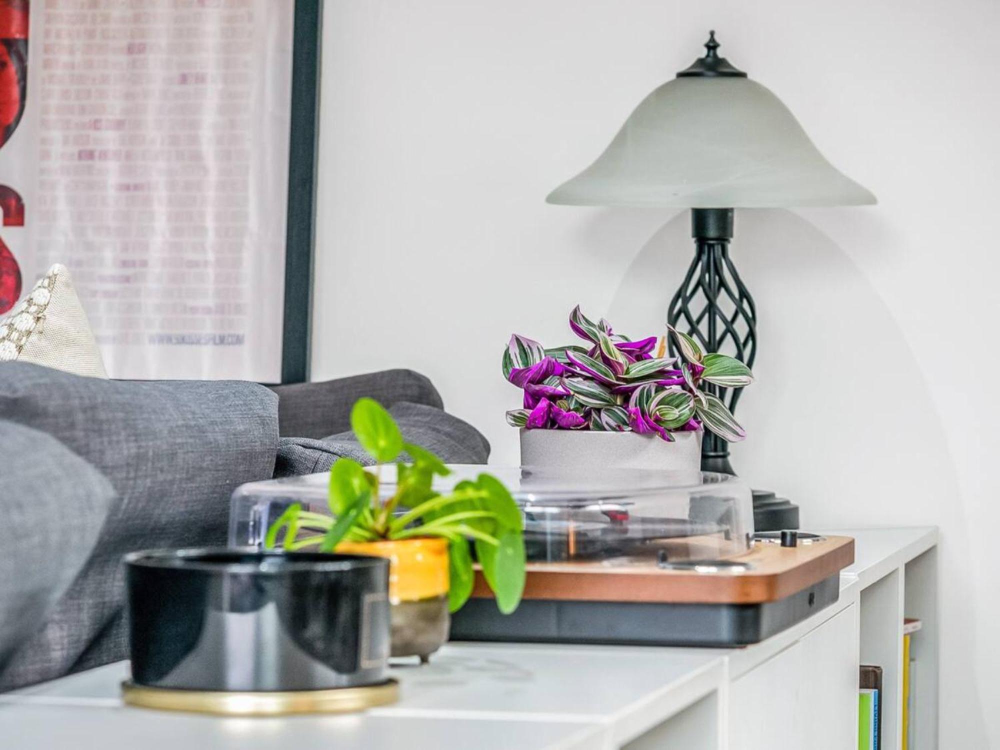 Appartamento Pass The Keys Modern Terrace In Putney Londra